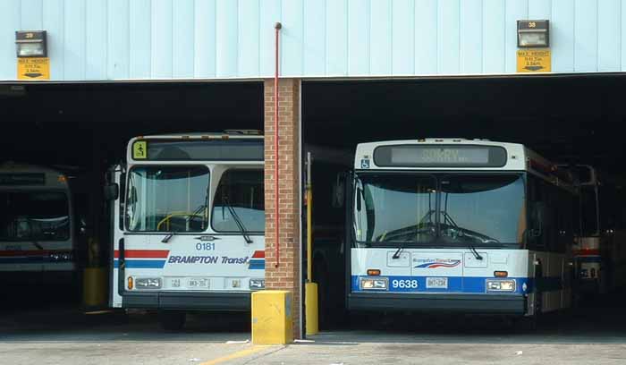 Brampton Transit Orion V 0181 & New Flyer D40LF 9638